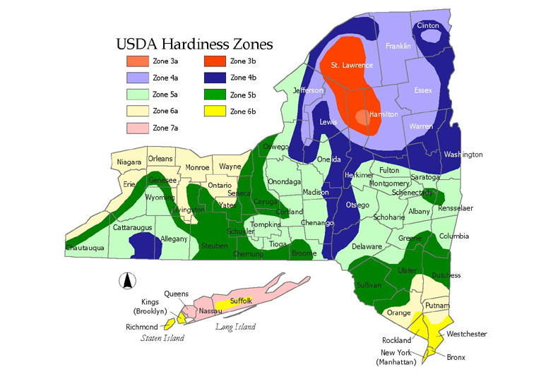 hardiness zones new york by county