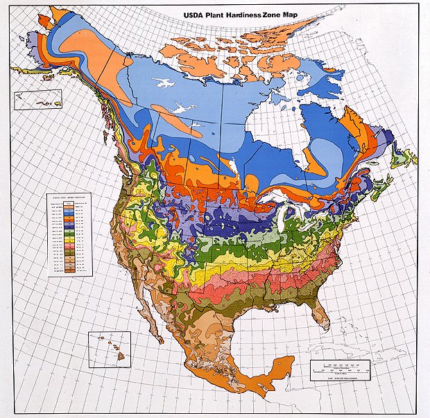 hardiness zones