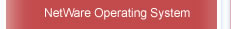 NetWare Operating System