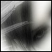 midnight.whispers