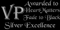 Awarded For VP Silver 
Excellence