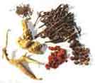 Malaysia Alternative Acupuncture Herbal Medicine A to Z Disease Treatment Cure Centre