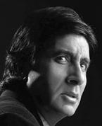 www.bachchan.cjb.net
