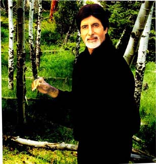 www.bachchan.cjb.net