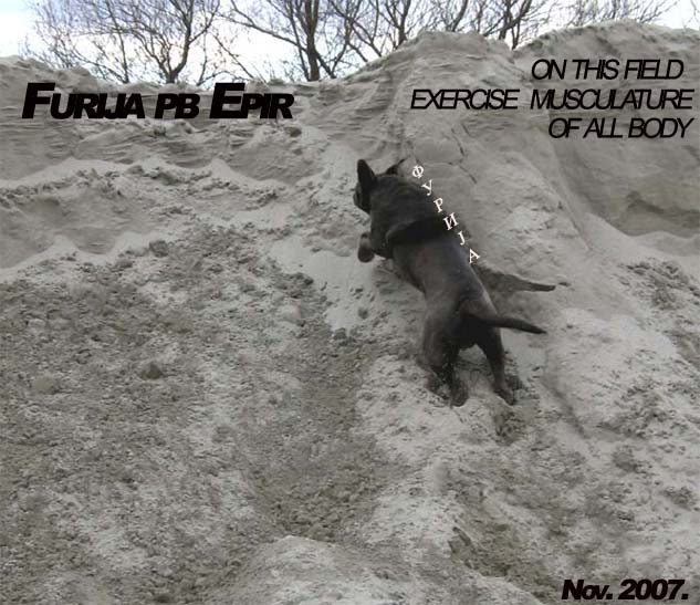 Furija