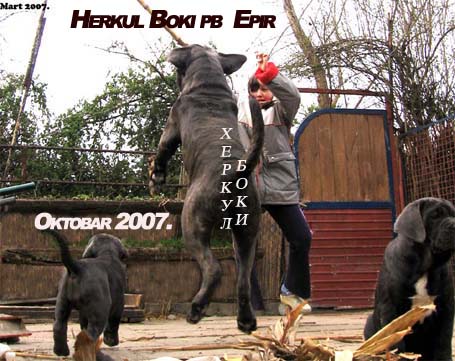 Hekul-Boki