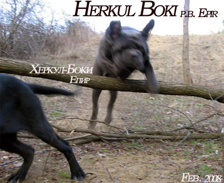 Herkul-Boki