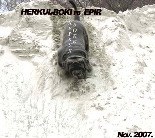 Herkul-Boki