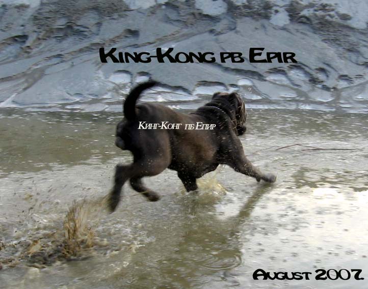 King-Kong