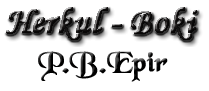 Boki