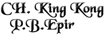 King-Kong