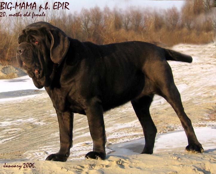 Big-Mama