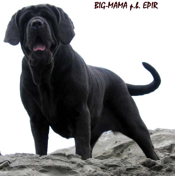Big-Mama