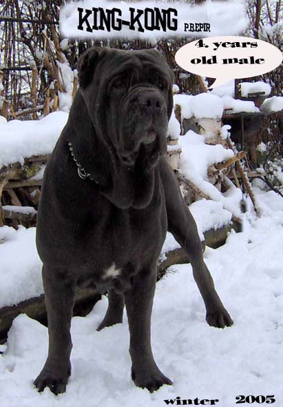 King-Kong