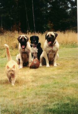 The gang!