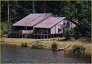 Rumah Etnik Iban