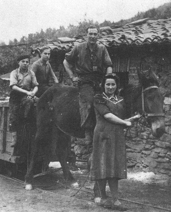 Mula arrastrando un vagon de madera en El Oro en 1943.