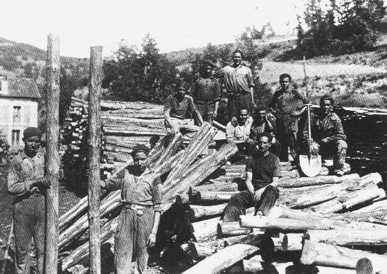 Decargando madera en la Fabrica de Matallana, al lado de la via de Bardaya.