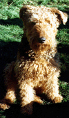 My big brother 'Bobo'!