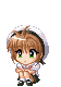 anisakura3.gif (114966 bytes)