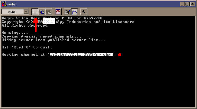 RW host server window