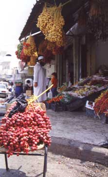 Jericho in mmmm....datelnji....!!!