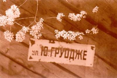 jau_prazydo_alyvos.jpg (21309 bytes)