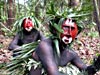 Amazonian Indians