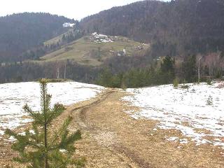 Slevo on foothill of Kamnik Peak (one of prespectives)