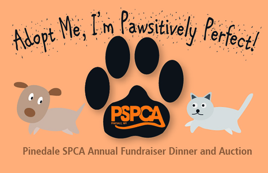 Pinedale SPCA Mailer Front
