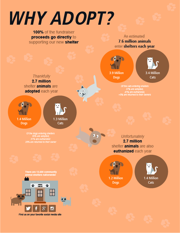 Pinedale SPCA Pet Adoption Infographic