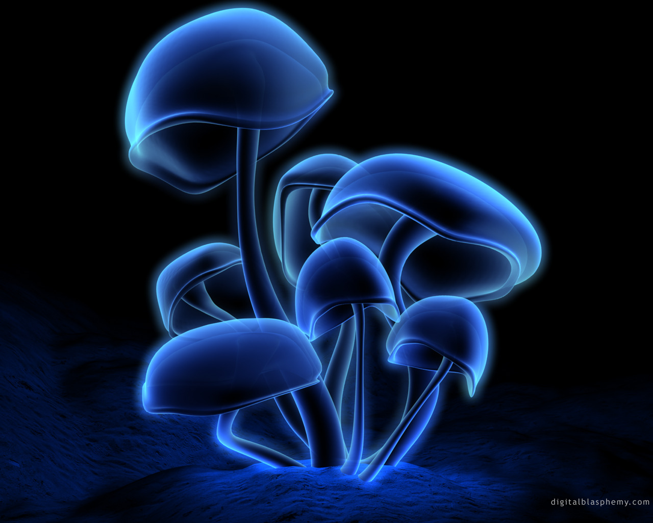 Neon Shroom