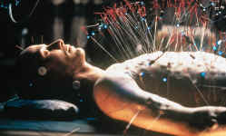 pic18.jpg (135157 bytes)