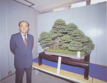 look at the tree!!!