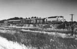 Locomtora Alsthom con el Tren mixto a Mar del Plata avanzando al costado de la Ruta 2. Circa 1972. Miguel Angel Pignataro