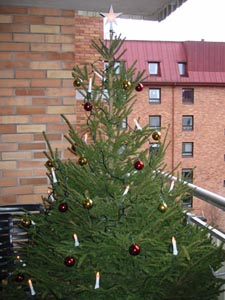 Julgran i stan