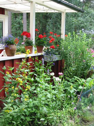 Rabatten vid huset