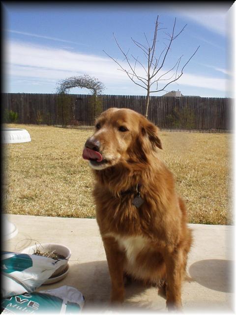 murray_tongue