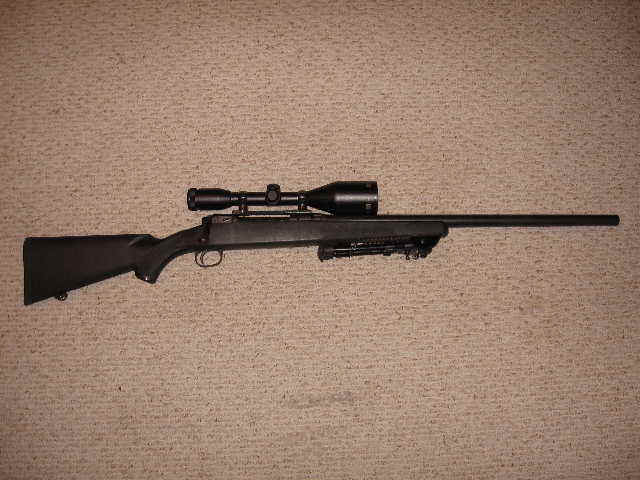 Savage .308.JPG (47424 bytes)