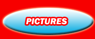 PICS ON SK8IN