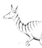 link to drawing of Hyutarian creatures