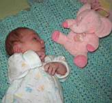 E1-9August1_2004-Emily-2weeks-pinkelephant.jpg