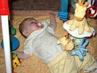 Hpim2089AsleepUnderArch.jpg