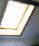 View out of the skylight