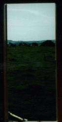 View out of Window