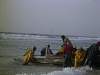 NouakchottBringintheFish1.jpg