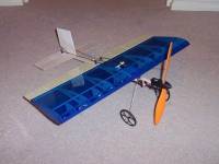 Tiny park flyer