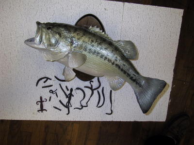 bass