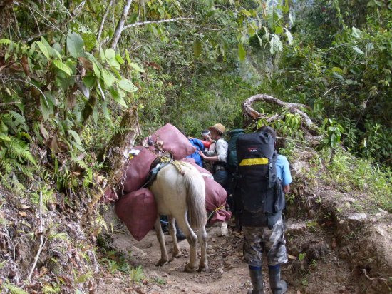 Packs falling off horse