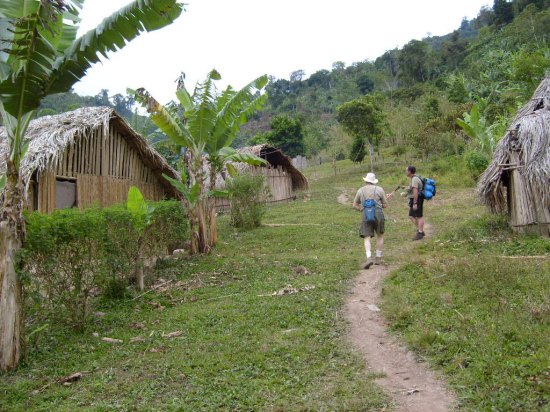 A picture of the village